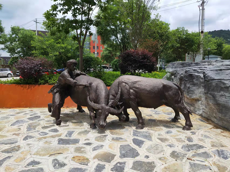 ����ʡ������ְ�̳�ʵѵ���ĵ�����Ŀ�����⣩